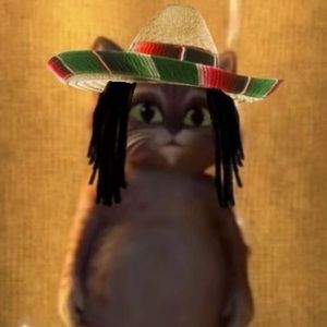 Meet your Posher, Peter